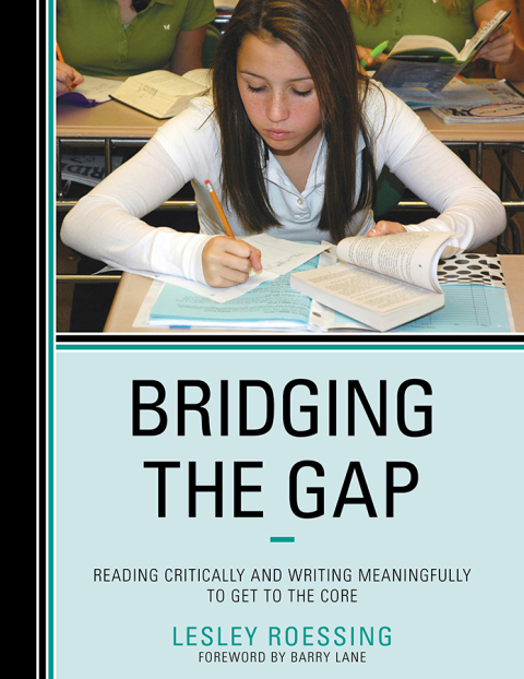 Cover image for book Bridging the Gap