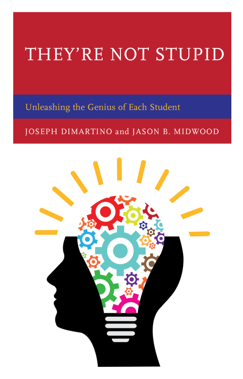 Cover image for book They're Not Stupid