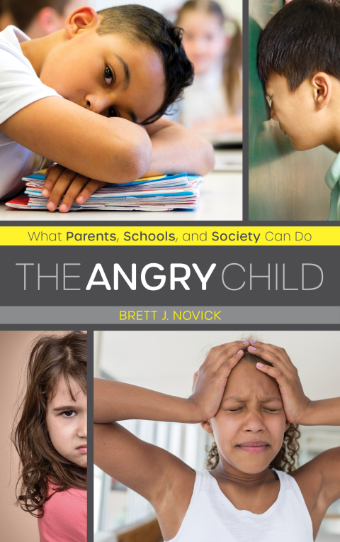 Cover image for book The Angry Child