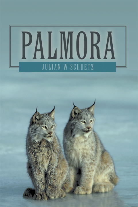 Cover image for book Palmora