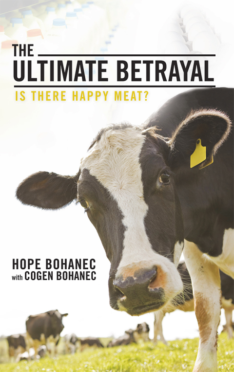 Cover image for book The Ultimate Betrayal