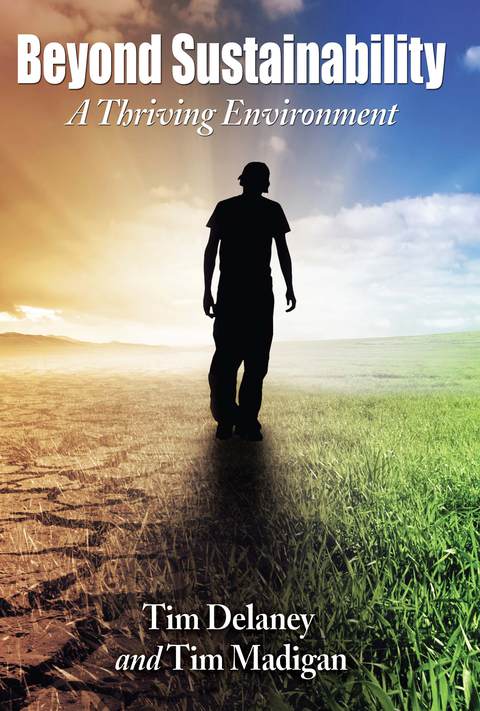 Cover image for book Beyond Sustainability