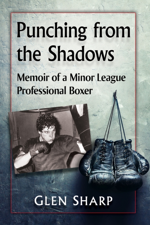 Cover image for book Punching from the Shadows