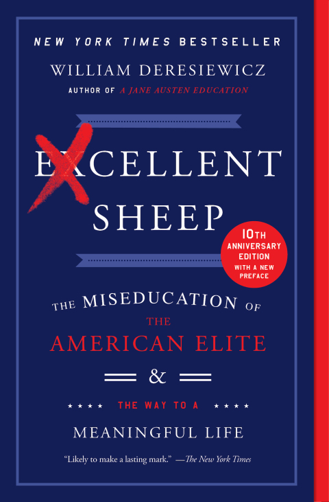 Cover image for book Excellent Sheep