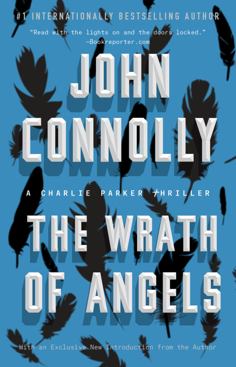 Cover image for book The Wrath of Angels