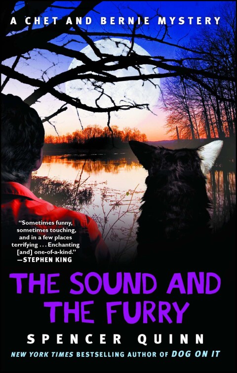 Cover image for book The Sound and the Furry