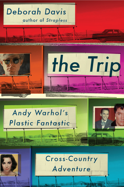 Cover image for book The Trip