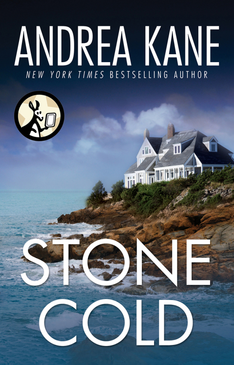 Cover image for book Stone Cold