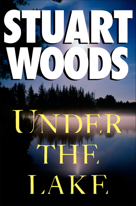 Cover image for book Under the Lake