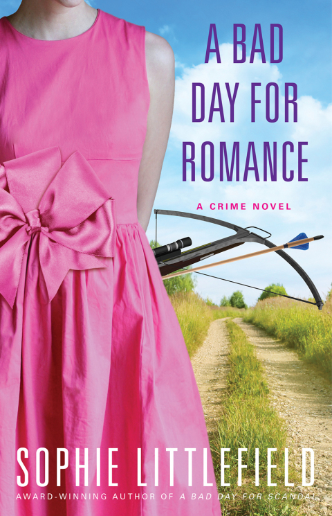 Cover image for book A Bad Day for Romance