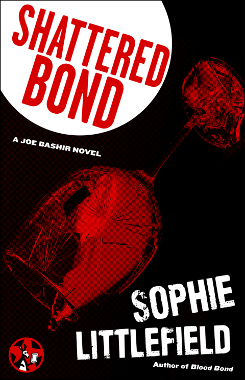 Cover image for book Shattered Bond