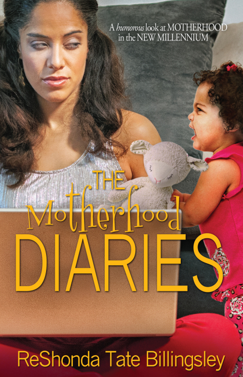 Cover image for book The Motherhood Diaries
