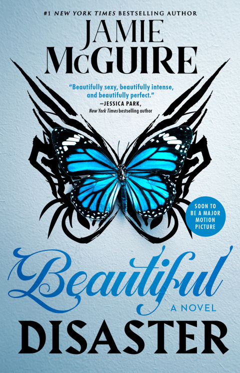 Cover image for book Beautiful Disaster