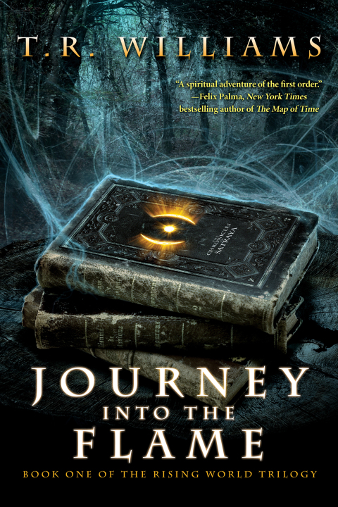 Cover image for book Journey Into the Flame