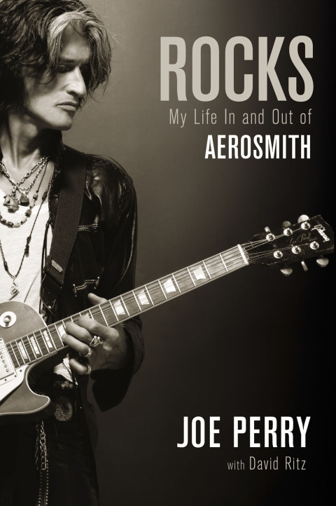 Cover image for book Rocks