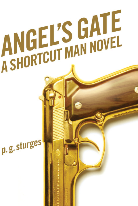 Cover image for book Angel's Gate