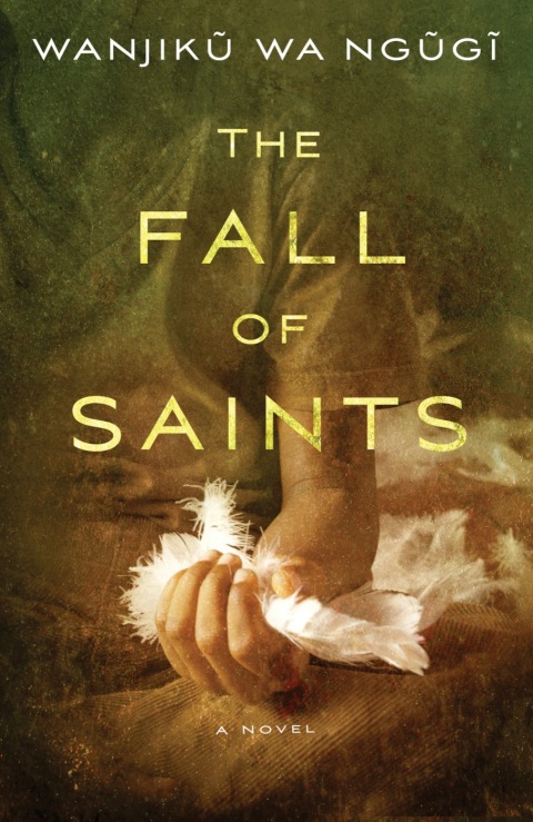 Cover image for book The Fall of Saints