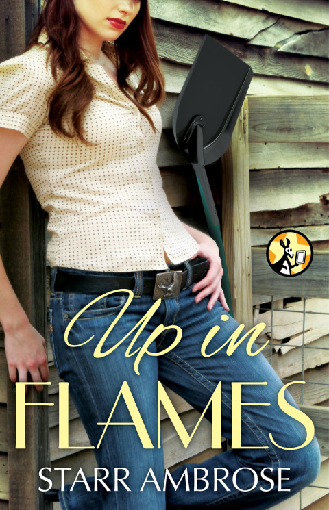 Cover image for book Up in Flames
