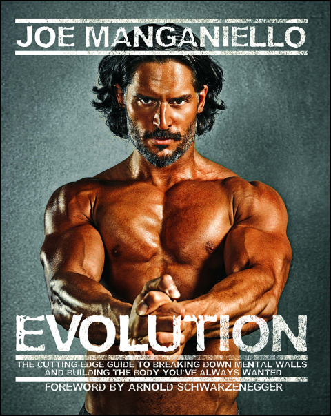 Cover image for book Evolution