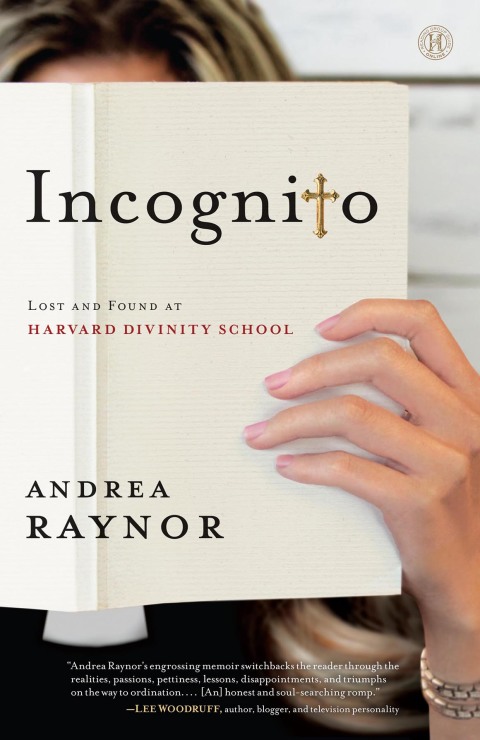 Cover image for book Incognito