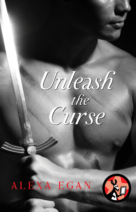 Cover image for book Unleash the Curse