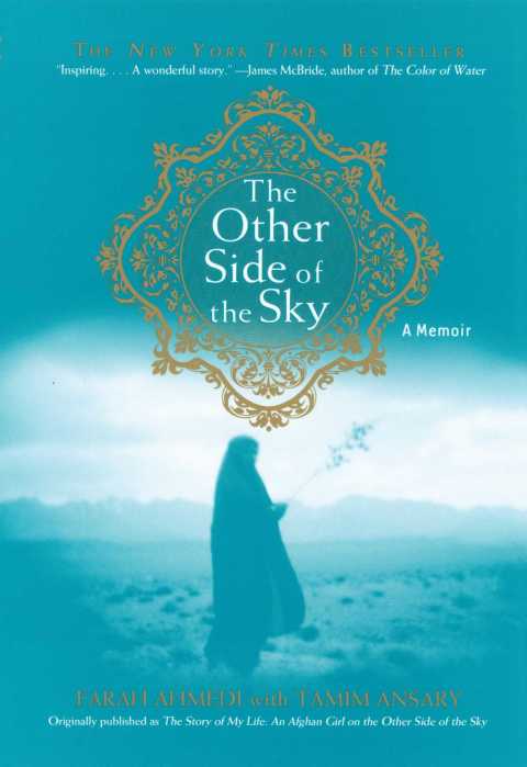 Cover image for book The Other Side of the Sky