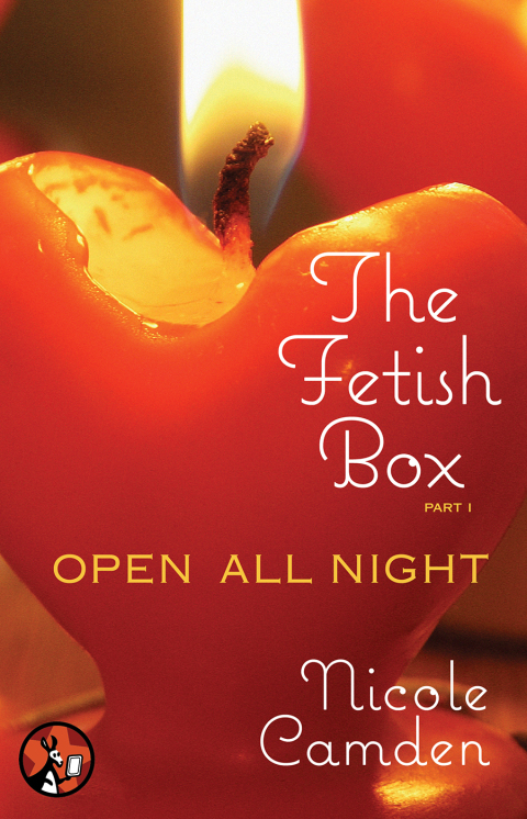 Cover image for book The Fetish Box, Part One