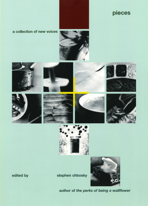 Cover image for book Pieces