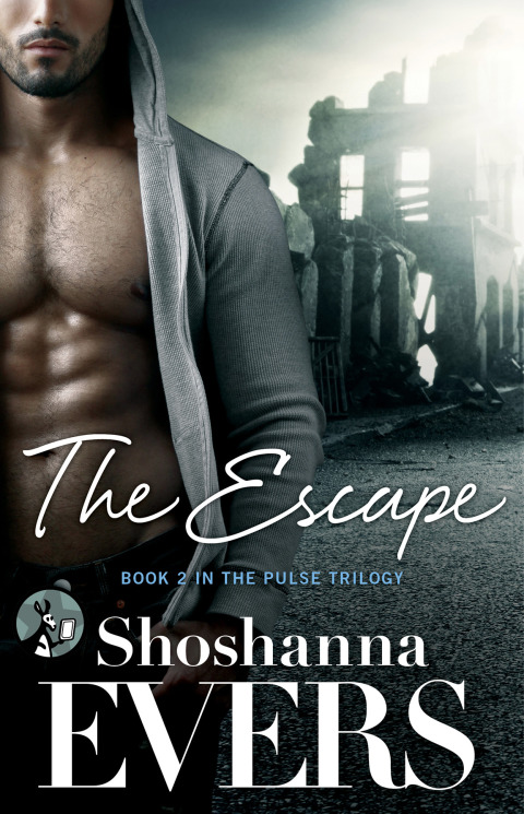 Cover image for book The Escape