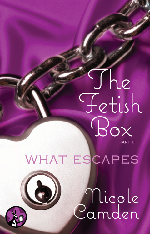 Cover image for book The Fetish Box, Part Two