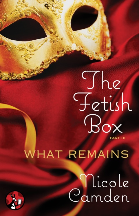 Cover image for book The Fetish Box, Part Three