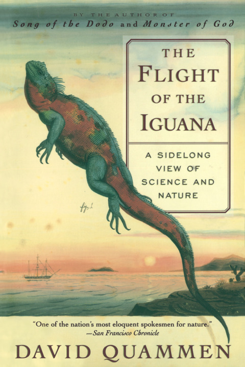 Cover image for book The Flight of the Iguana