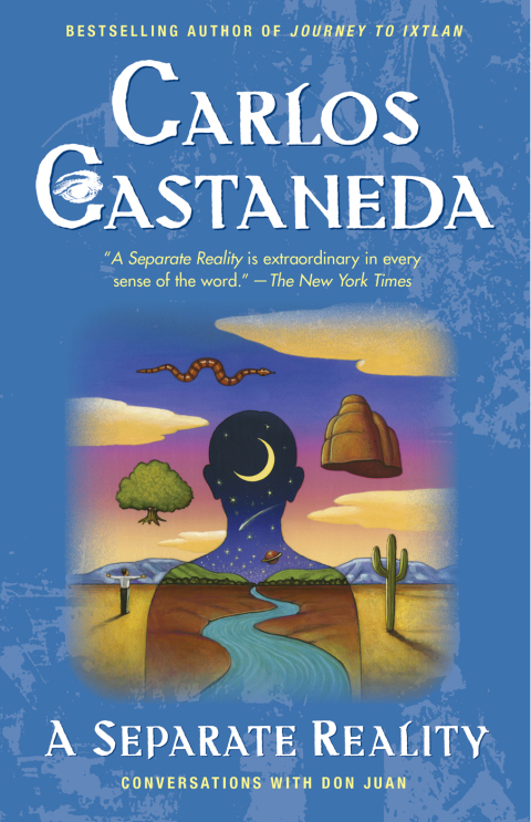 Cover image for book Separate Reality