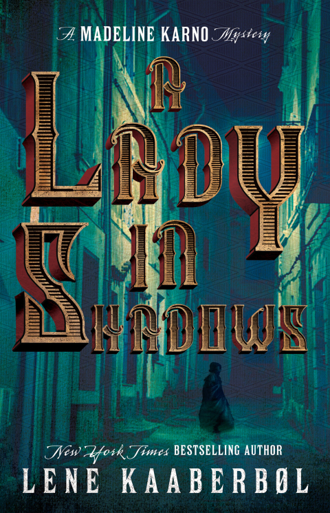 Cover image for book A Lady in Shadows