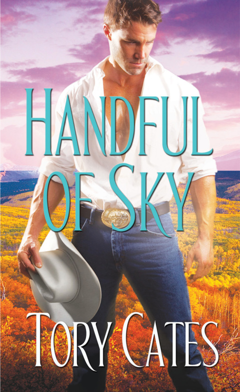 Cover image for book Handful of Sky