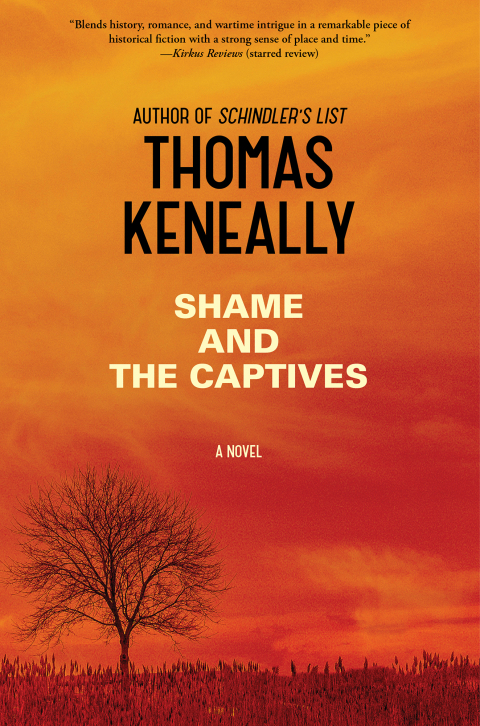 Cover image for book Shame and the Captives