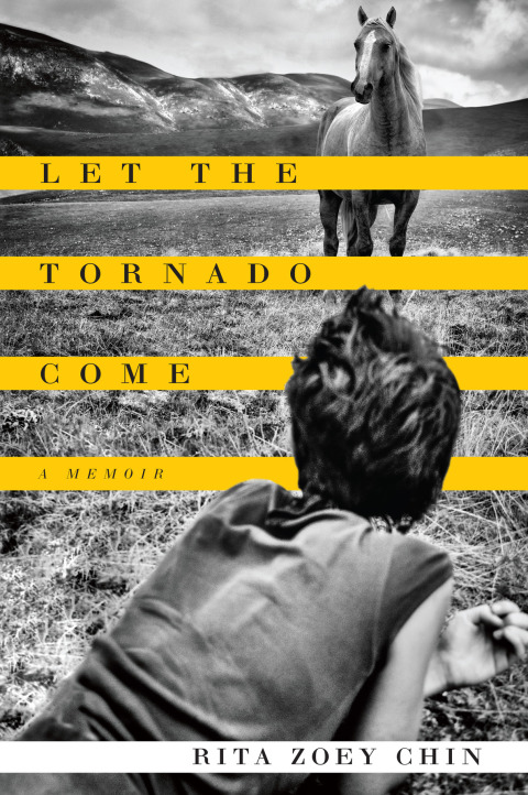 Cover image for book Let the Tornado Come