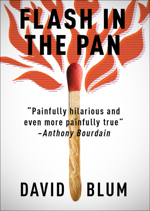 Cover image for book Flash in the Pan