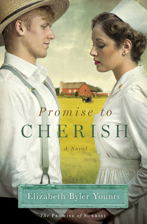 Cover image for book Promise to Cherish