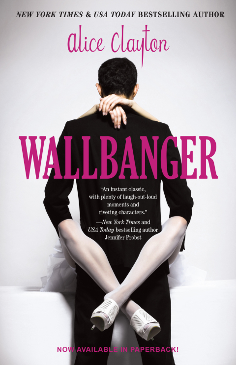 Cover image for book Wallbanger