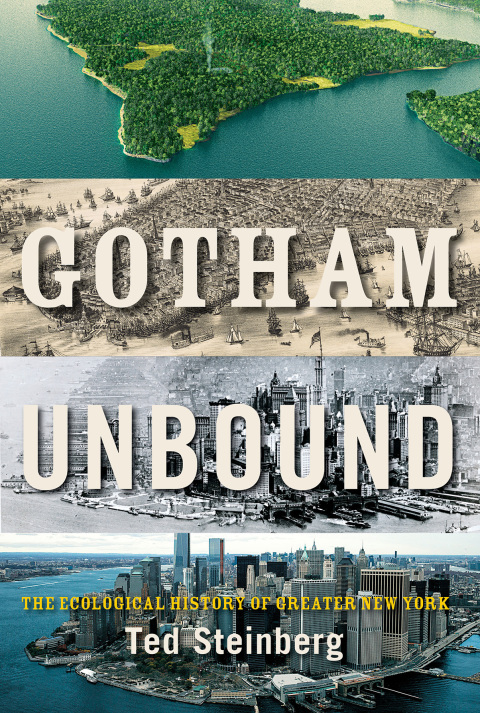 Cover image for book Gotham Unbound