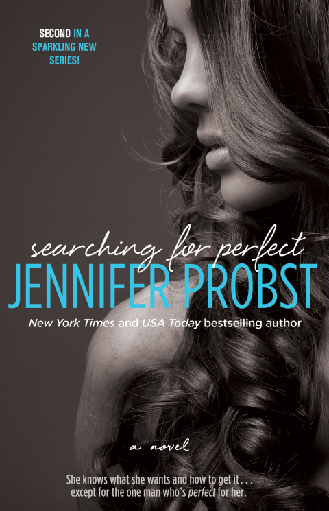 Cover image for book Searching for Perfect
