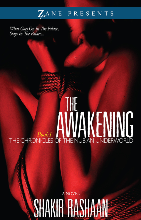 Cover image for book The Awakening