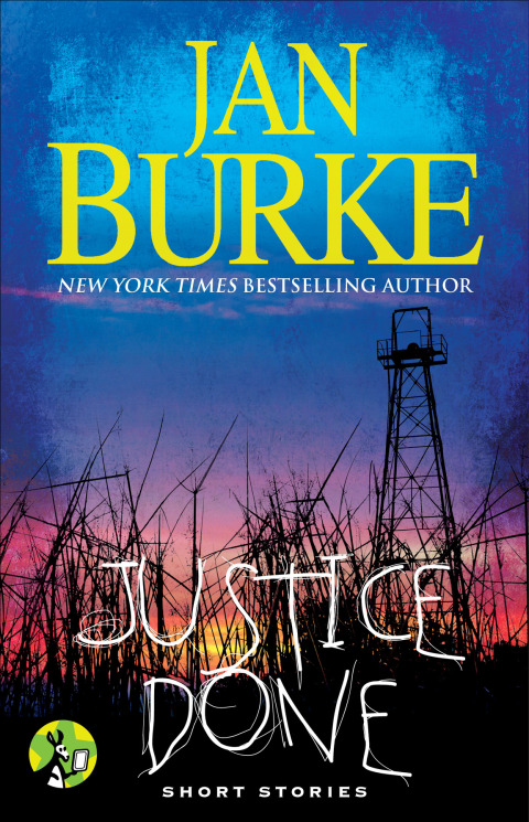 Cover image for book Justice Done
