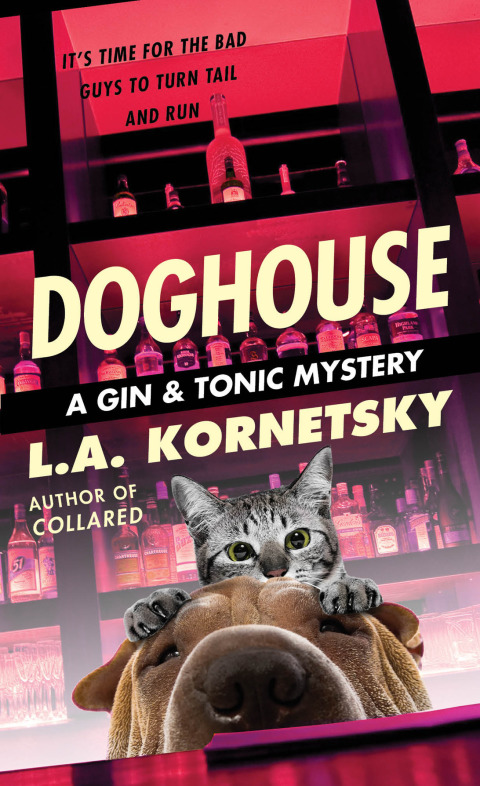 Cover image for book Doghouse