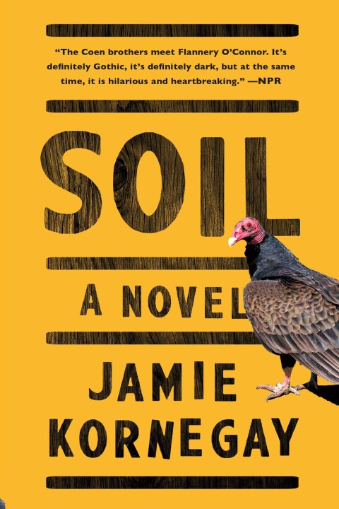 Cover image for book Soil