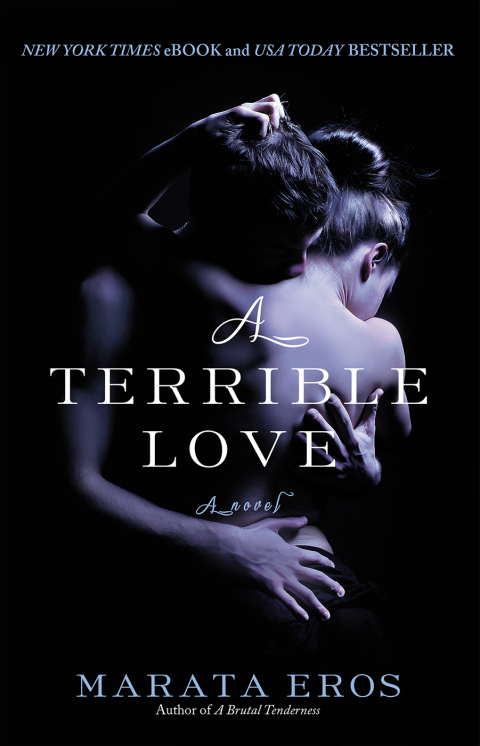 Cover image for book A Terrible Love