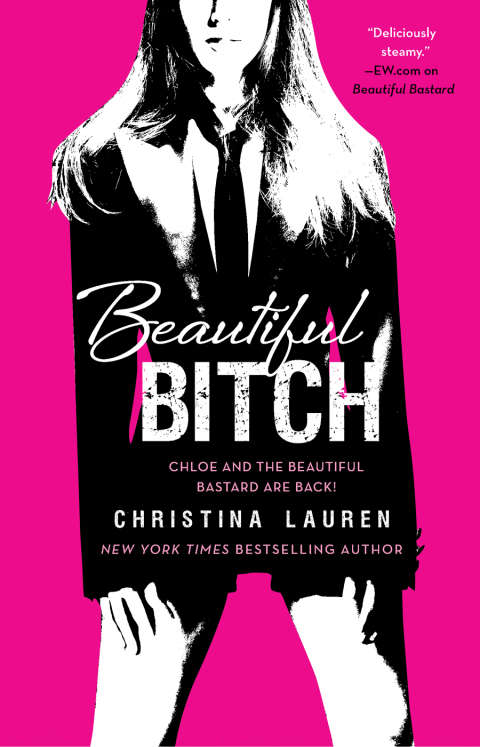 Cover image for book Beautiful Bitch