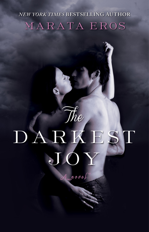 Cover image for book The Darkest Joy