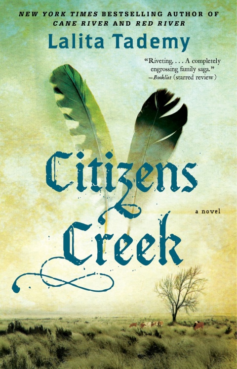 Cover image for book Citizens Creek